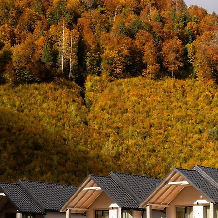 Holiday home Mizhhirya Mizhhirya (Transcarpathia)