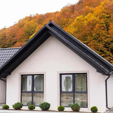 Holiday home Mizhhirya Mizhhirya (Transcarpathia)