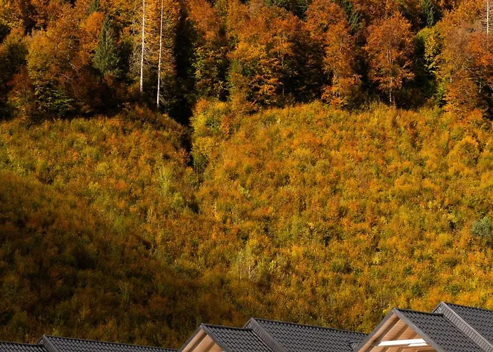 Tatil Evi Mizhhirya Mizhhirya (Transcarpathia)